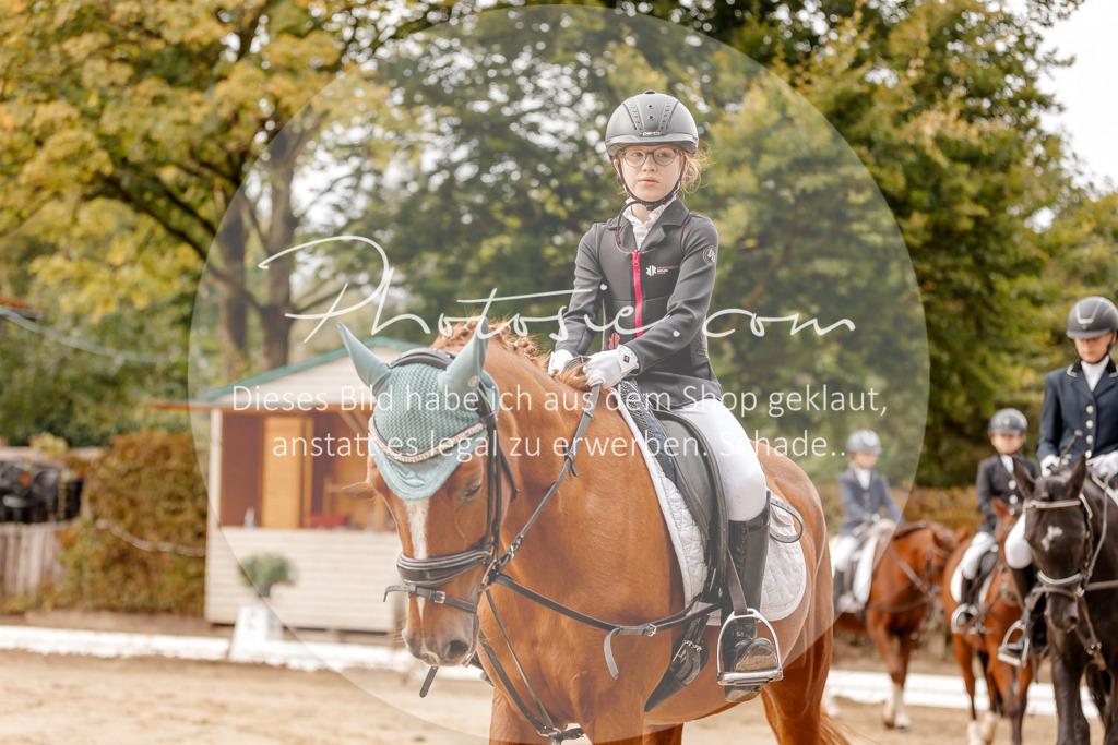 3I6A8316 | Stimmungsvolle Portraits und Reitsportfotografie im Ruhrgebiet und im Münsterland.

Pferdefotografie, Hundefotografie, Tierfotografie, Reportagen, Portraits von Tier und Mensch, Turnierfotografie in Bochum, Recklinghausen, Marl, Haltern am See, Dülmen.. - Realisiert mit Pictrs.com