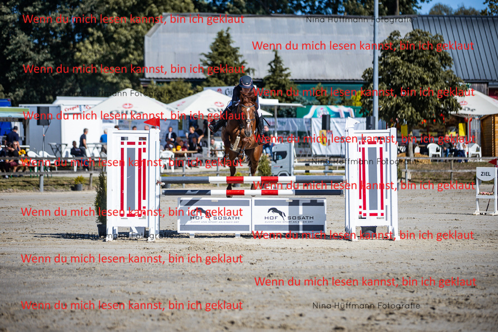 BK1A5689 | Turnierbilder Turnierfotos Nina Hüffmann Turnierfotografie Pferdefotografie Tierzeichnung Haustierzeichnung Pferdezeichnung Hundezeichnung Videograf  - Realisiert mit Pictrs.com