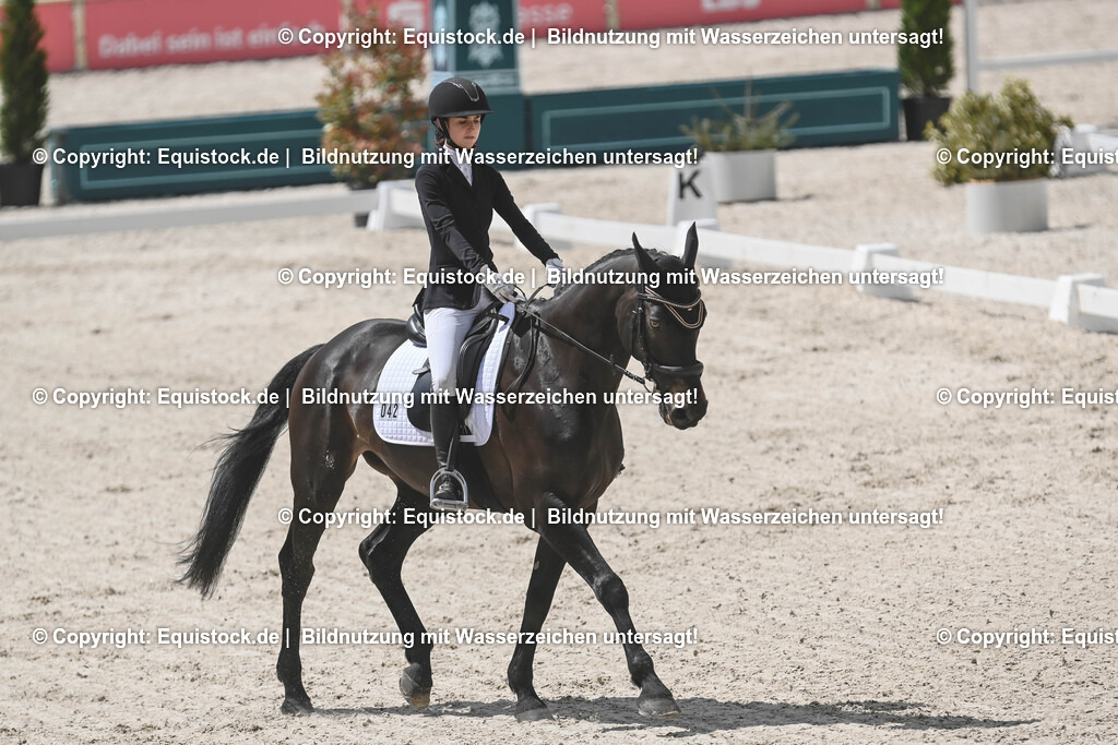 20250516_CCI2_Dressur_0180 | Foto: Thomas Hartig