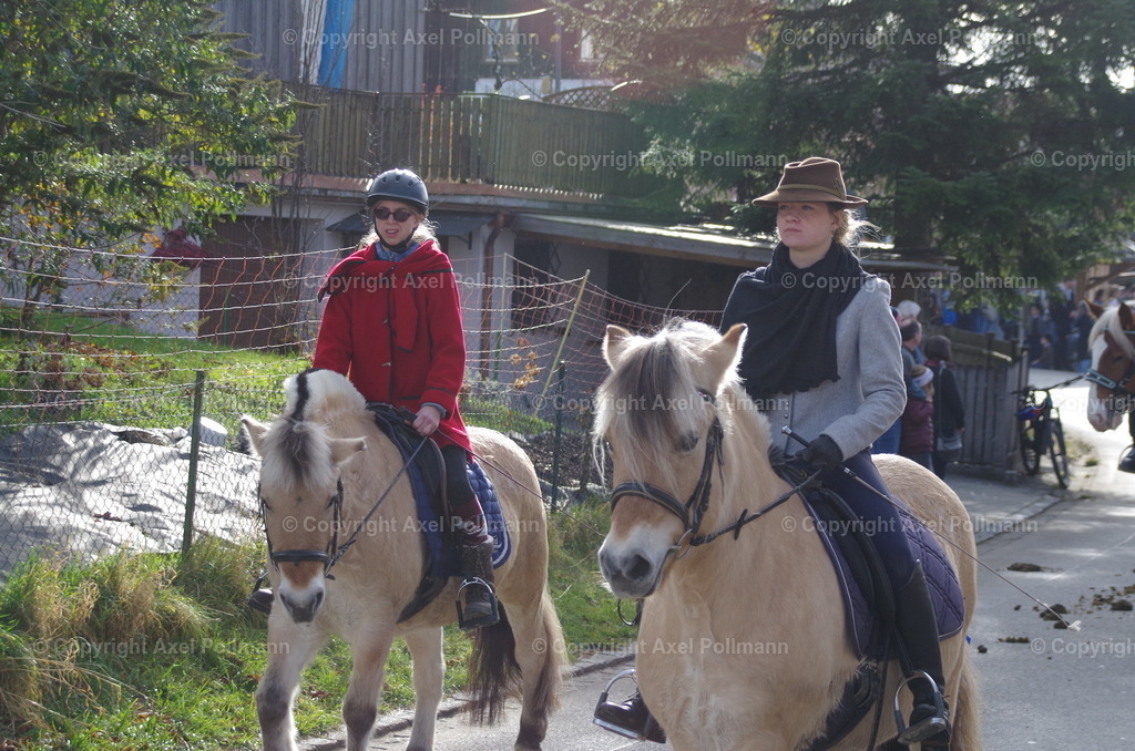 IMGP1007 | fotografiert von Axel PollmannLeonhardi Wallfahrt Benediktbeuern und Murnau, Fronleichnam, Fasching, Landschaft im Loisachtal und Benediktbeuern  - Realisiert mit Pictrs.com