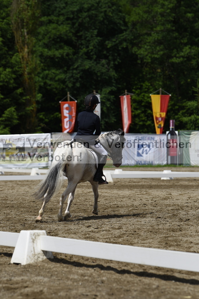 DSC_8788 | equestrian-live-com