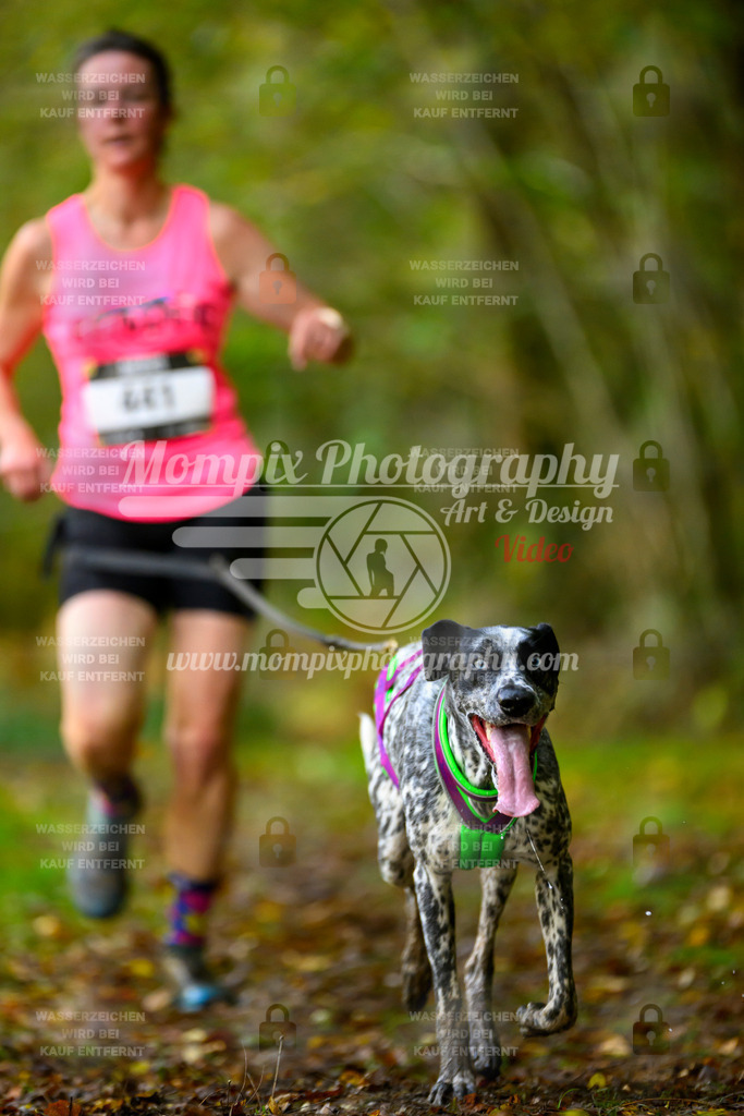 MompixPhotography_20TSB_E1_Run-79 | PayLife