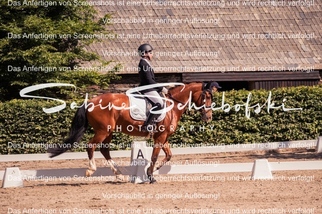 2025_05_31_DSCF3096 | People- und Tierfotografie, Imageaufnahmen, Veranstaltungsfotografie und Wandbilder aus der Natur ★ Made in Germany ✔️ Druck + Downloads ✔️ Naturfotografie in Top Qualität ★ schneller Versand, weltweite Lieferung! - Realisiert mit Pictrs.com