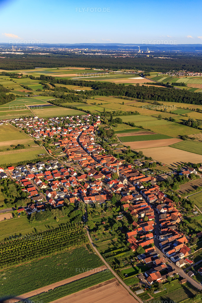 Luftbild: Dorfansicht von Nordwesten in Erlenbach bei Kandel im Bundesland Rheinland-Pfalz in Deutschland. Foto: IMG_115088.jpg vom 13.06.2019 durch Werner Riehm/FLY-FOTO.de