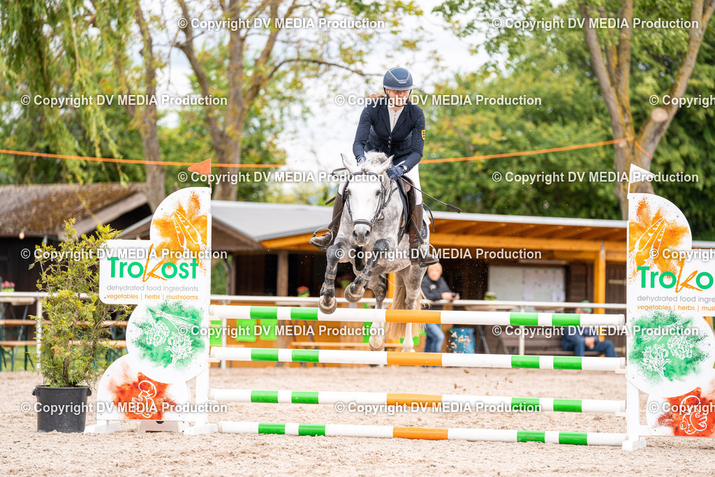 Eppelheim Tag 1-89 | dv-media-shop - Realisiert mit Pictrs.com