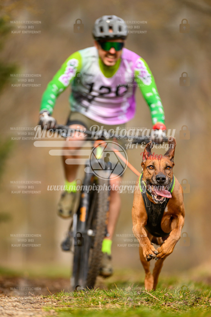 MompixPhotography_Schwabentrail2024_Bike-109 | PayLife