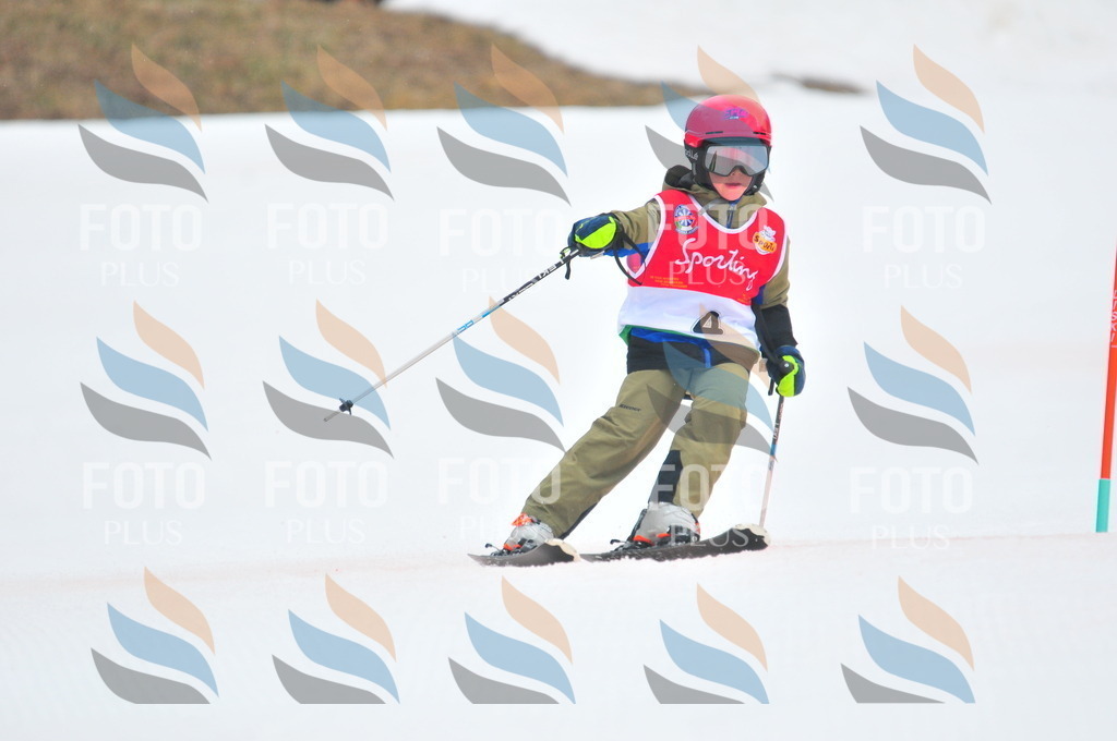 C0546 | holidayphoto