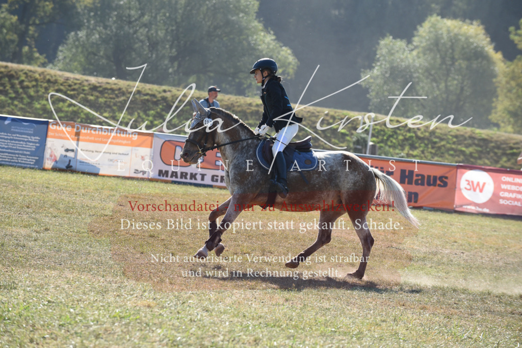 DSC_5897 | Pferde- und Turnierfotografie in Westsachsen. Pferdeportraits, Auftragszeichnungen und intuitive Kunst.