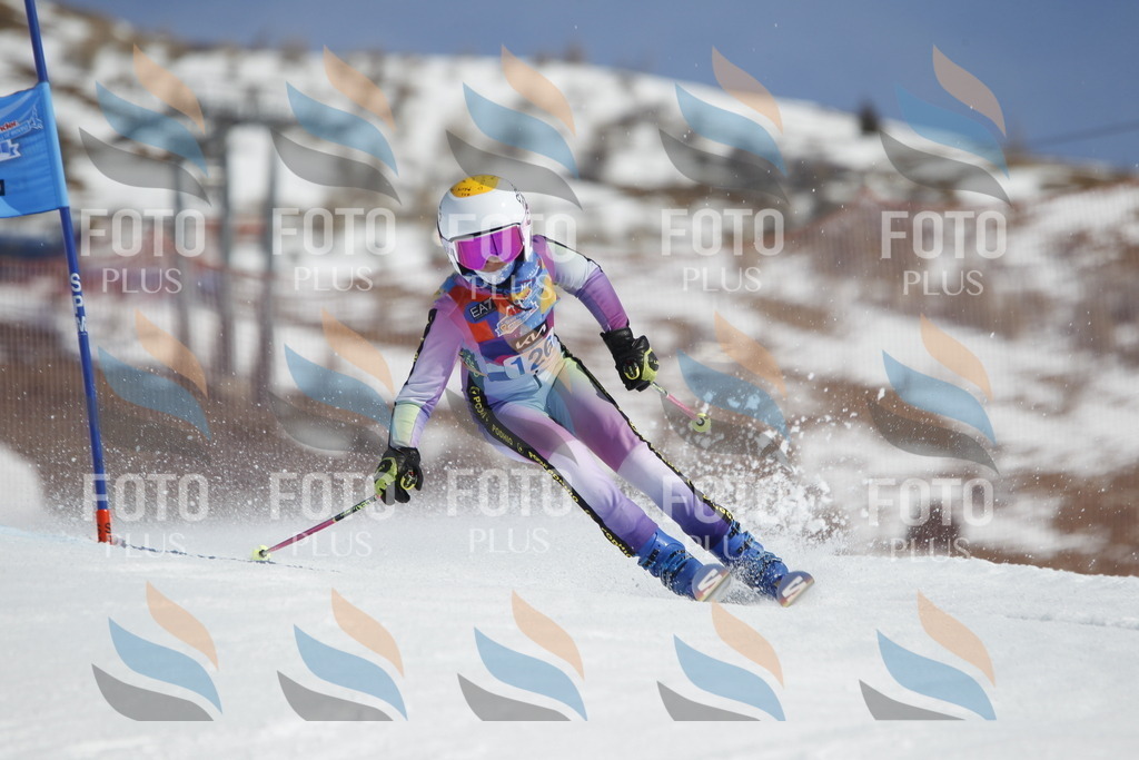 _U3G0799 | holidayphoto