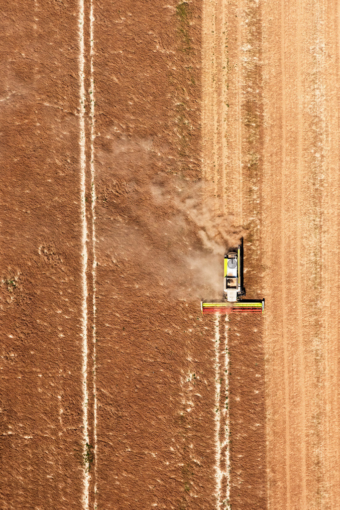 dr__0043358.jpg | NIEDERGöRSDORF 20.07.2024 Senkrecht- Luftbild aus der Satelliten- Perspektive vom Ernteeinsatz von schweren Landmaschinen - Mähdreschern und Erntefahrzeugen auf landwirtschaftlichen Feldern an der Dorfstraße in Niedergörsdorf im Bundesland Brandenburg, Deutschland. // Vertical aerial view from the satellite perspective of the harvest use of heavy agricultural machinery - combine harvesters and harvesting vehicles on agricultural fields on street Dorfstrasse in Niedergoersdorf in the state Brandenburg, Germany. Foto: Daniel Reiter