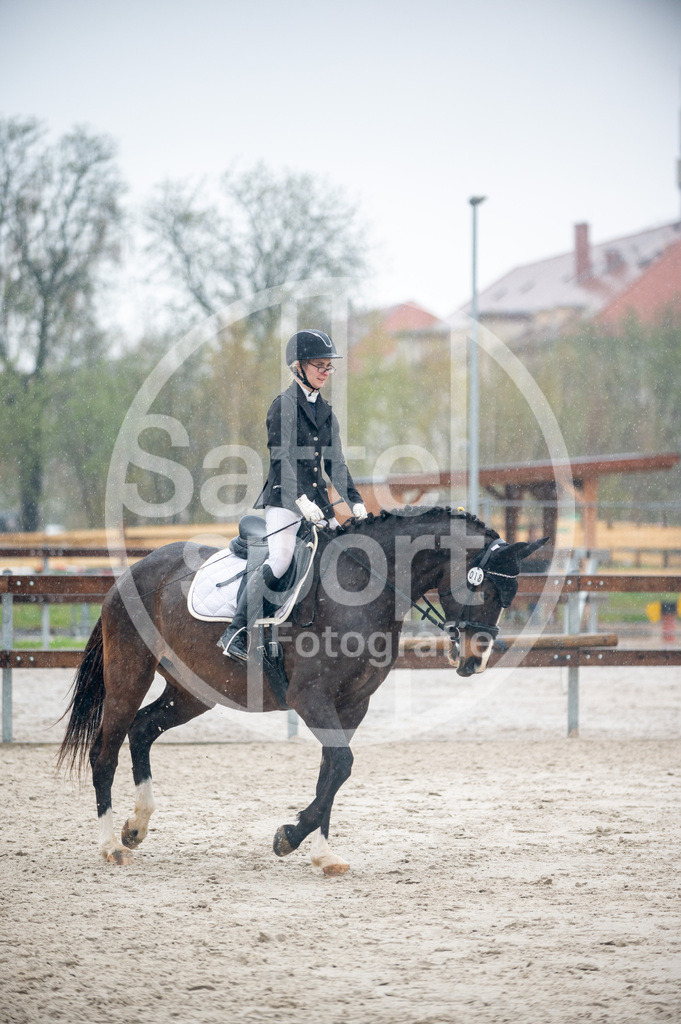 DSC_4551 | sattelsport - Realisiert mit Pictrs.com