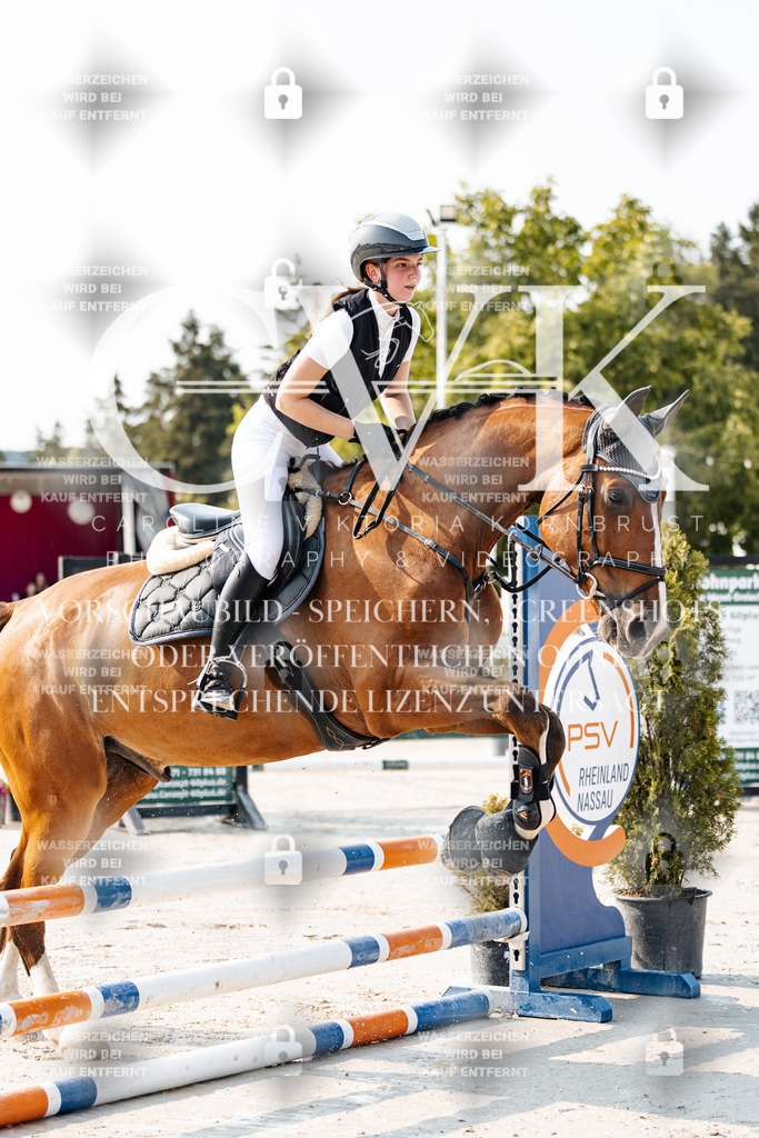 CK902664 | Turnierfotografie Pferdefotografie Trier Rheinland-Pfalz Pferdesport Reitsport Tierfotografie Sportfotografie Pferdevideo Pferdevideografie Equestrianvideography equestrianphotography  - Realisiert mit Pictrs.com