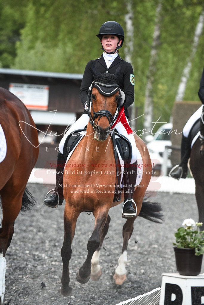 DSC_9098 | Pferde- und Turnierfotografie in Westsachsen. Pferdeportraits, Auftragszeichnungen und intuitive Kunst.