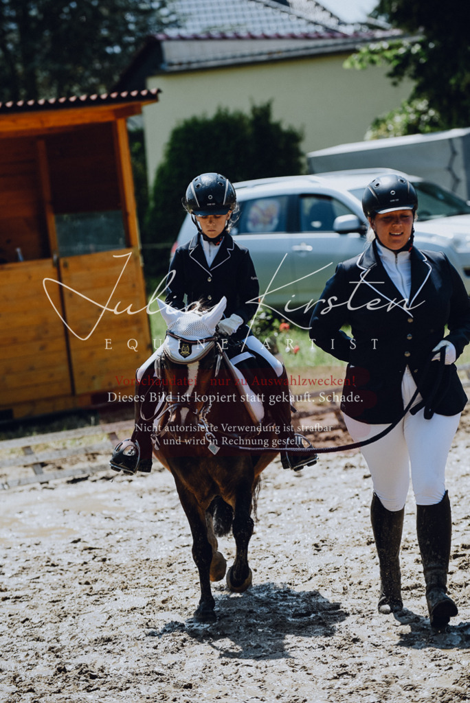 DSC_2274 | Pferde- und Turnierfotografie in Westsachsen. Pferdeportraits, Auftragszeichnungen und intuitive Kunst.