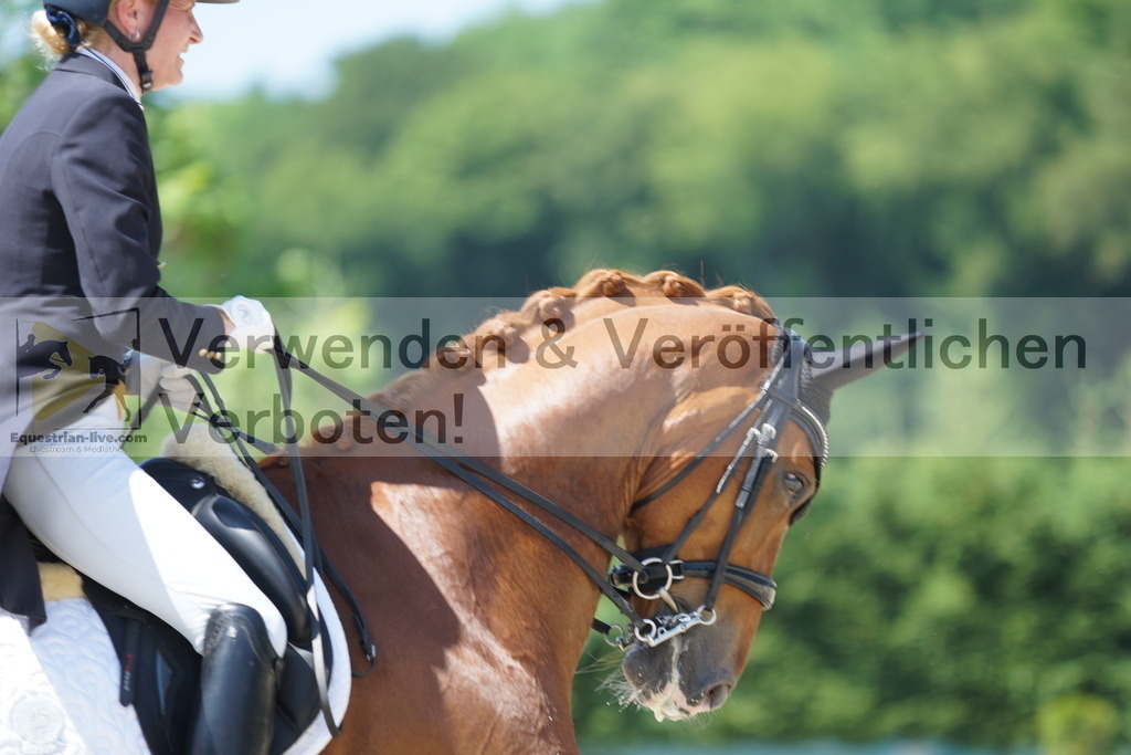 DSC02200 | equestrian-live-com