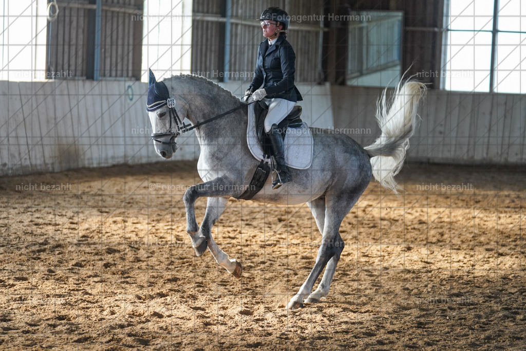 20230917-FAH00026 | Landsberg am Lech, 2023, Kaufbeuren, Kempten, Allgäu, Turnierfotografen Bayern, Fotoagentur Herrmann, Turnierbilder, Reitsport Fotos, Pferdefotograf, Augsburg, Bad Tölz, Dachau, Karlsfeld, Memmingen, Buchloe, Schwabmünchen