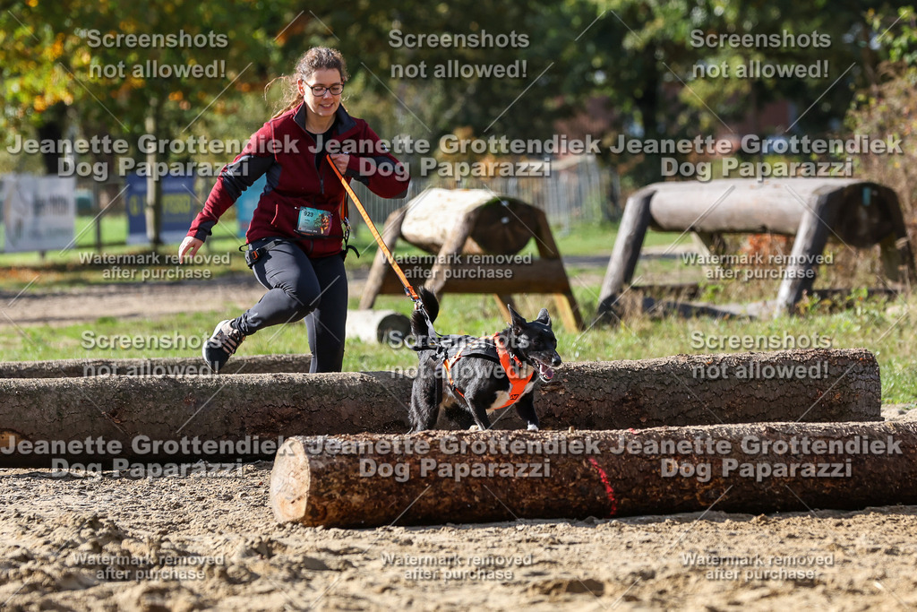 Dog Paparazzi - Strongdog 10-25-4916 | Dog Paparazzi Jeanette Grottendiek Fotografie & Videografie - Realisiert mit Pictrs.com