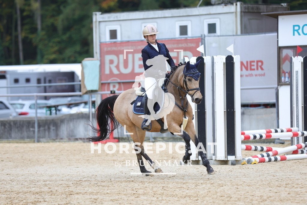0P6A0765 | Willkommen bei Brunnmayr - Design & Fotografie – Ihrem Spezialisten für Reitturniere und Pferdeveranstaltungen in Oberösterreich, Salzburg und Bayern! Seit über 17 Jahren sind wir leidenschaftlich dabei.