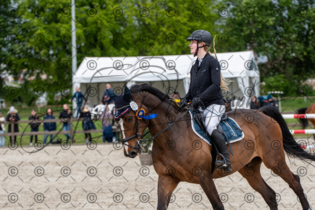 KPT_0312 | andre_photographic