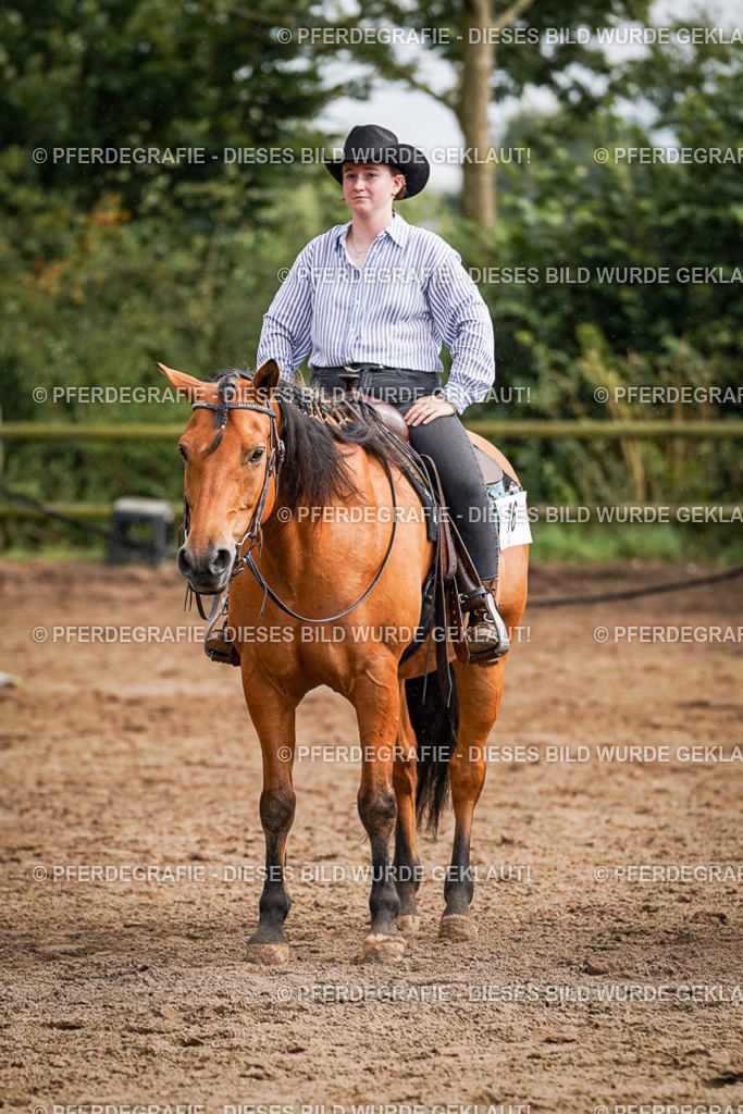 DSC09228 | Pferdegrafie