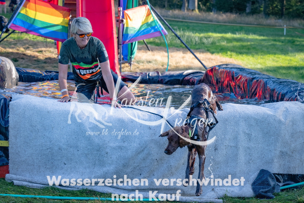 1753_ZZ92839 | kk-dogfotos