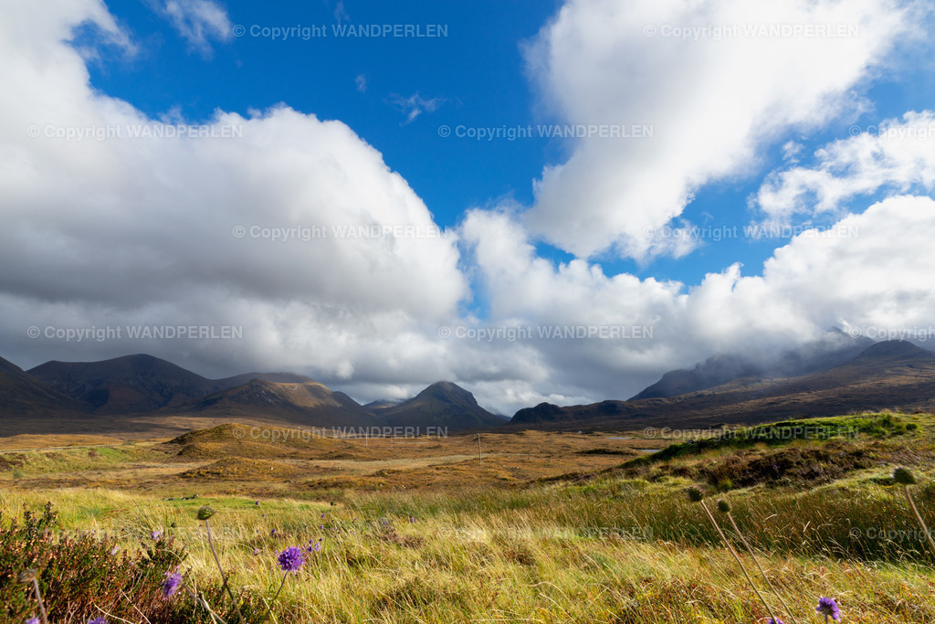 _DSC3893 | Großformatige Foto-Drucke in Galeriequalität – Wandperlen.de. Feine Details, brillante Farben, hochwertige Materialien und zuverlässige Lieferung für Home & Office.  - Realisiert mit Pictrs.com