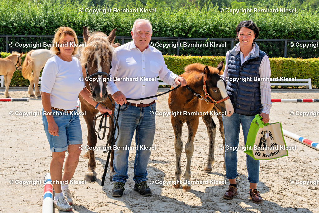 DSC05235 | foto-team-bernhard - Realisiert mit Pictrs.com