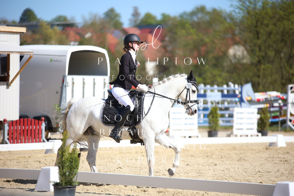 IMGT2065 | pl-fotografie