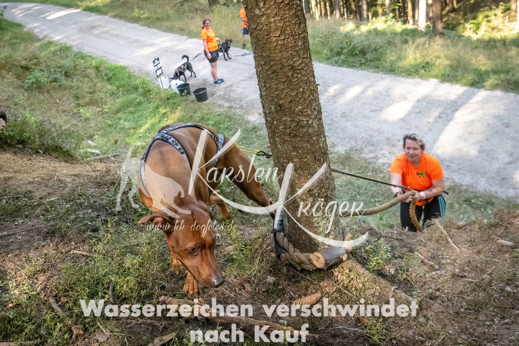1057_ZZ93809 | kk-dogfotos