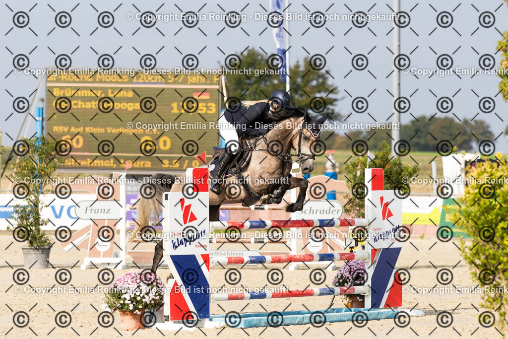 CL5A5195 | Emilia Reinking Fotografie - Realisiert mit Pictrs.com