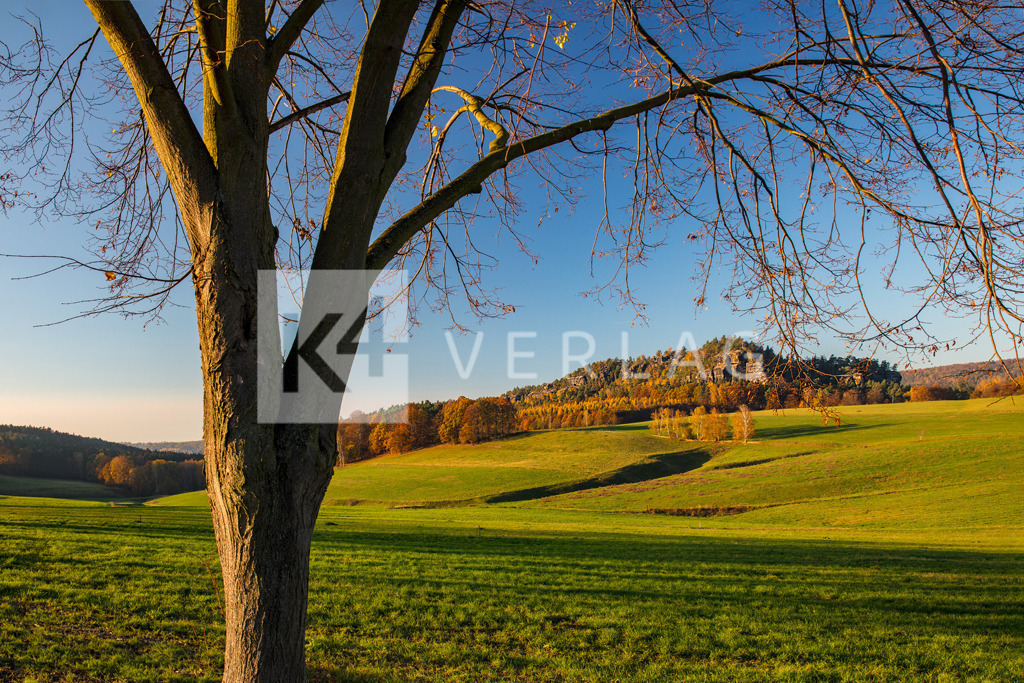 Wandbild-Baerenstein-Gross-FOCO2611 | Stimmungsvolles Licht am Großen Bärenstein - Realisiert mit Pictrs.com