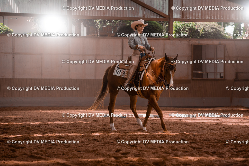 NE100511 | dv-media-shop - Realisiert mit Pictrs.com