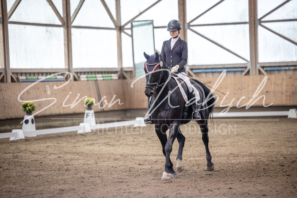 20251011-_3LI1471 | Tierfotografie Pferde, Hunde, Katzen, Haustiere.
Turnierfotografie Reitturniere, Reiten, Springreiten, Dressur in Hanau, dem Main-Kinzig-Kreis und dem Rhein-Main- Gebiet um Frankfurt
