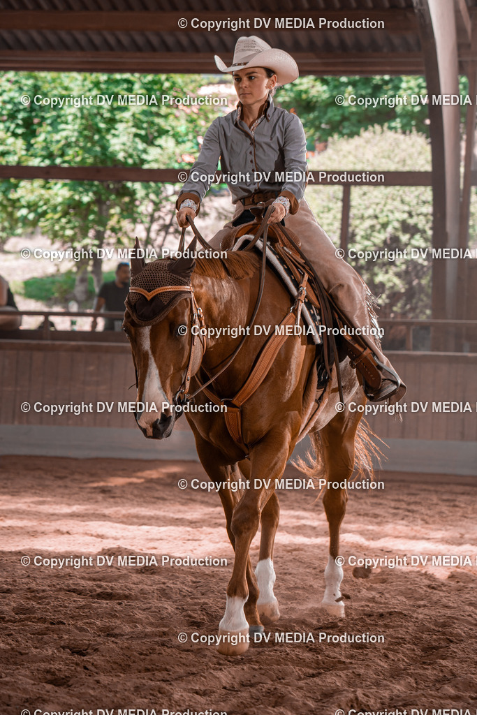 NE100507 | dv-media-shop - Realisiert mit Pictrs.com