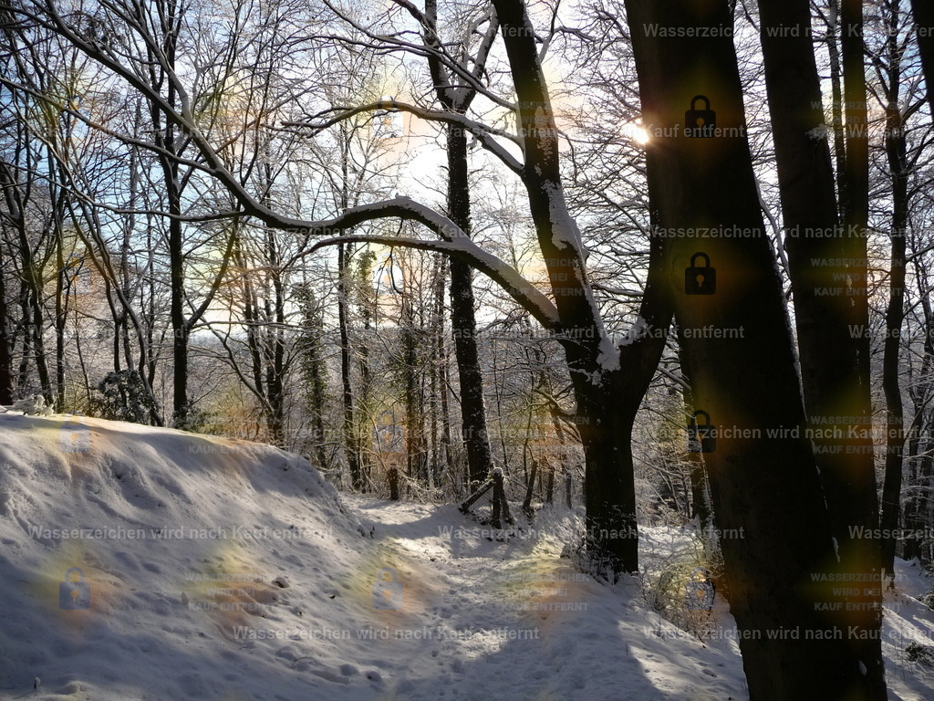 P1000199 | Fotoseite Wolkenblende - Das Hobby fotografieren begleitet mich schon  viele  Jahre. Auf den nächsten Seiten zeige ich ein paar Schnappschüsse der letzten Jahre und es kommen immer neue hinzu. Schau einfach mal rein. - Realisiert mit Pictrs.com