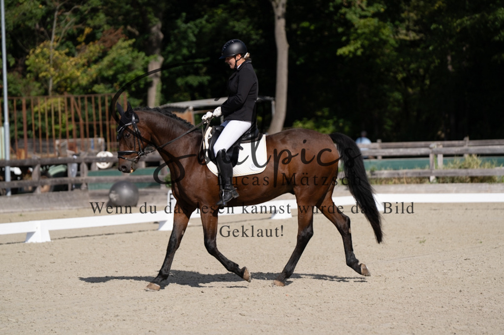 A7V06933 | Turnier/Reitfotograf