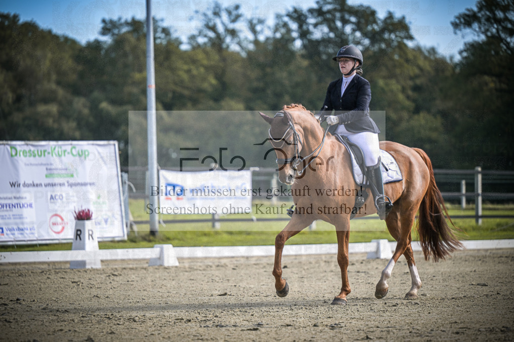 DOS_1135 | Entdecke hochwertige Reitturnierfotos von Foto Oger. Professionell, emotional und authentisch – jetzt Lieblingsmomente im Shop bestellen.Deutschlandweite Turnierfotografie. - Realisiert mit Pictrs.com