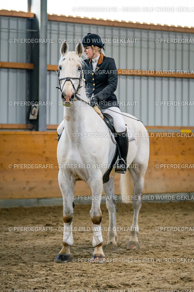 DSC00765 | Pferdegrafie