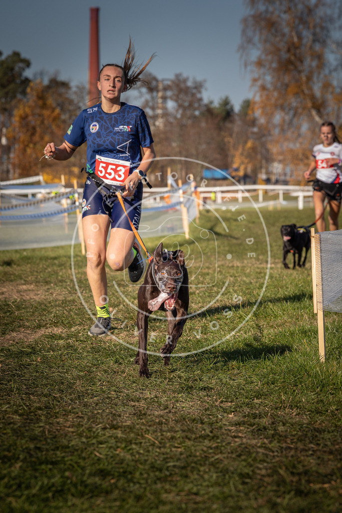 CaniXpix_0L8A7696 | Hundefotografie, Tierfotograf, Pfotenfotografie, Fotoshooting Hund, Hunde Portrait, Hundesport, Hundeportraits, Heideshooting, Hunde, Sportfotograf, Hundefotograf, Turnierhundsport, THS,  - Realisiert mit Pictrs.com