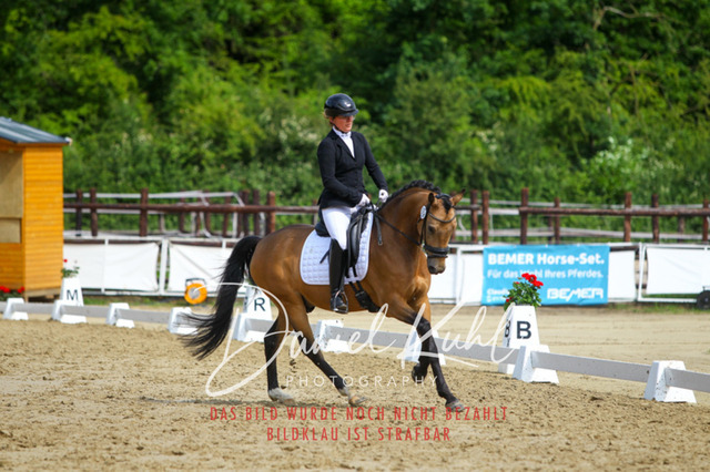 DKP45776 | Turniersportfotografie; Pferdefotografie; Dressurfotografie