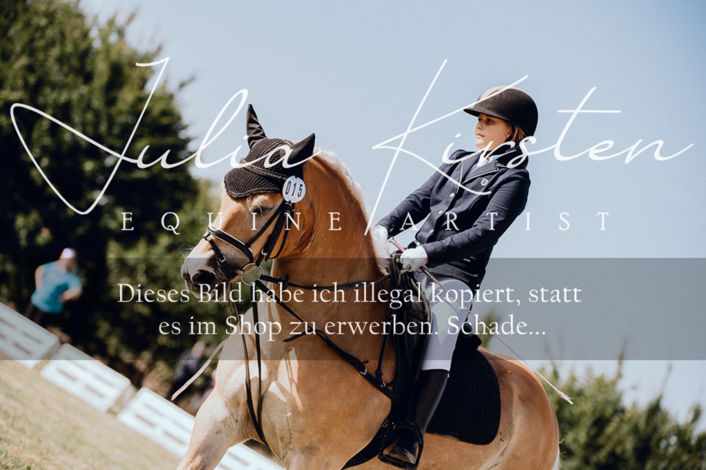 DSC_6913 | Pferde- und Turnierfotografie in Westsachsen. Pferdeportraits, Auftragszeichnungen und intuitive Kunst.
