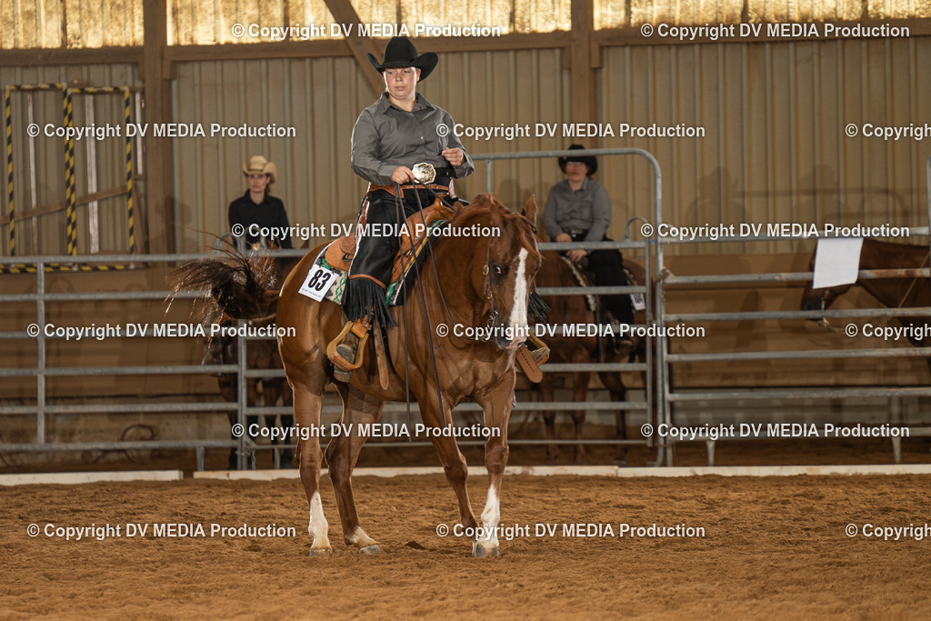 NID01435 | dv-media-shop - Realisiert mit Pictrs.com