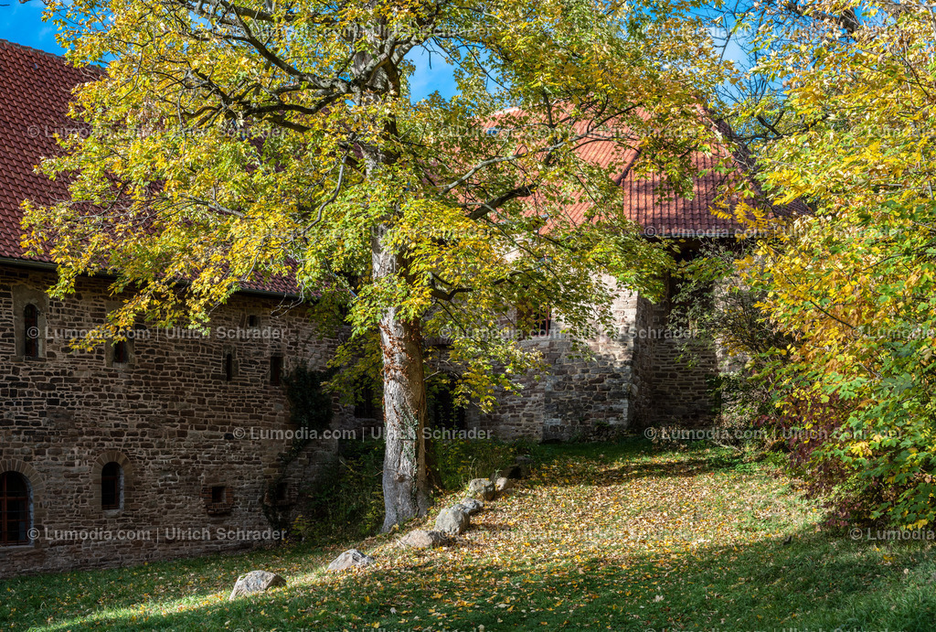 10049-12612 - Schloßpark Ilsenburg im Harz | Stockfoto und Bilderpool mit Bildmaterial aus Deutschland, dem Harz, Halberstadt, Quedlinburg, Wernigerode und weltweit. Qualitativ hochwertige und professionelle Fotos anschauen und kaufen. - Realisiert mit Pictrs.com