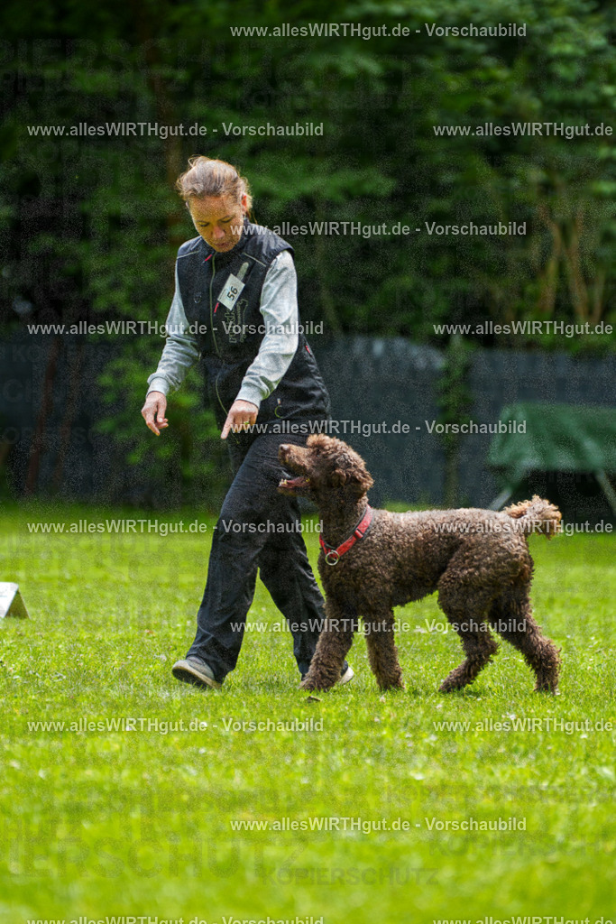 @allesWIRTHgut_Tierfotografie - www.allesWIRTHgut.de - 7R501148 | Professionelle Tierfotografie in Mönchengladbach von Daniel Wirth (allesWIRTHgut). Liebevolle & natürliche Bilder von Hunden & Katzen für unvergessliche Erinnerungen.