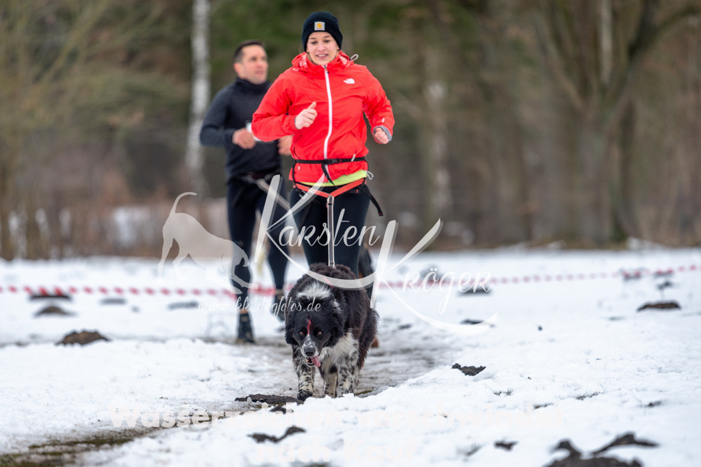 1040STR_4398 | kk-dogfotos