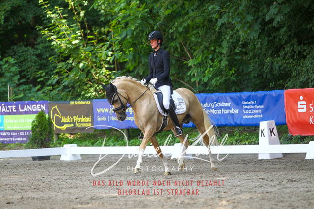 DKP42473 | Turniersportfotografie; Pferdefotografie; Dressurfotografie