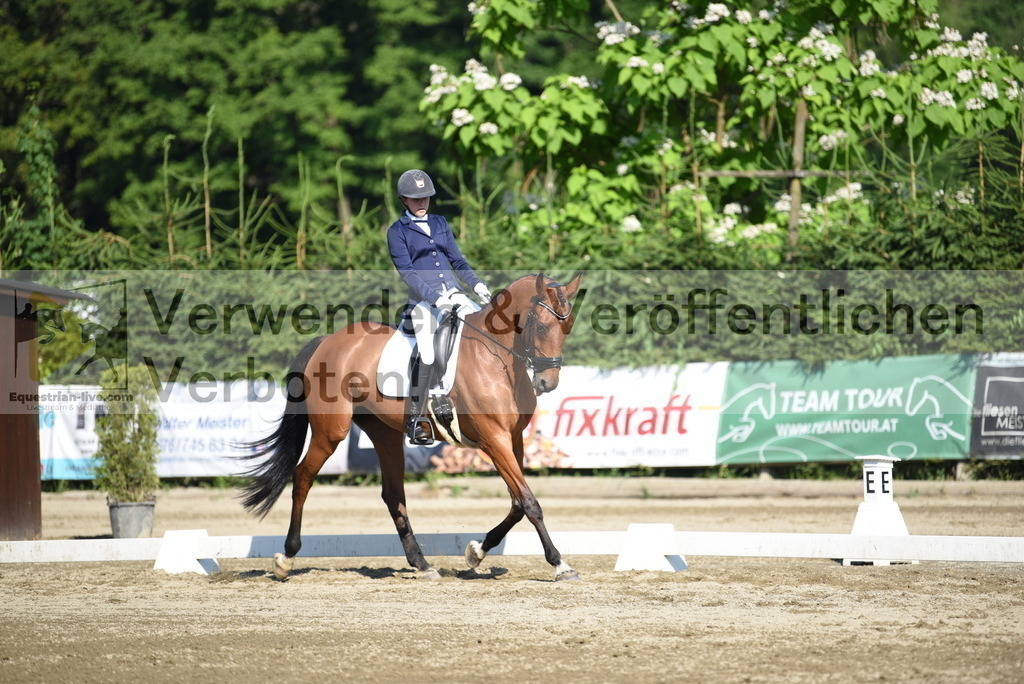 DSC_7204 | equestrian-live-com