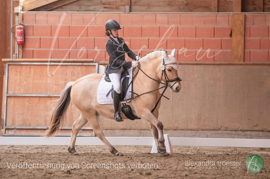 250405_Barop_04_031 | farbklaex.com