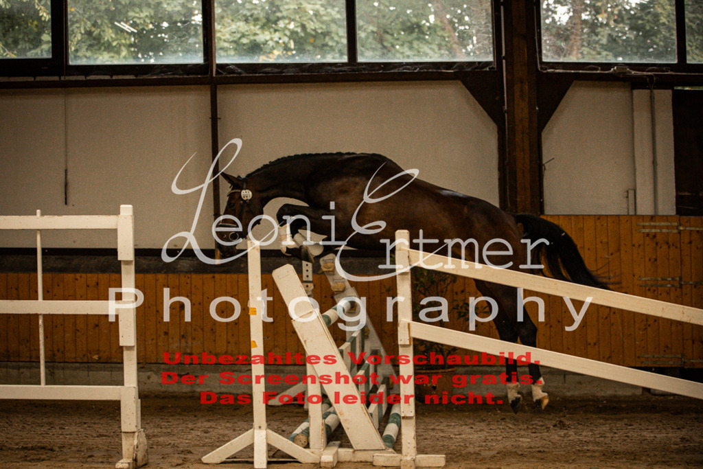 1FS_L00005 | Leoni Ertmer Photography - Realisiert mit Pictrs.com