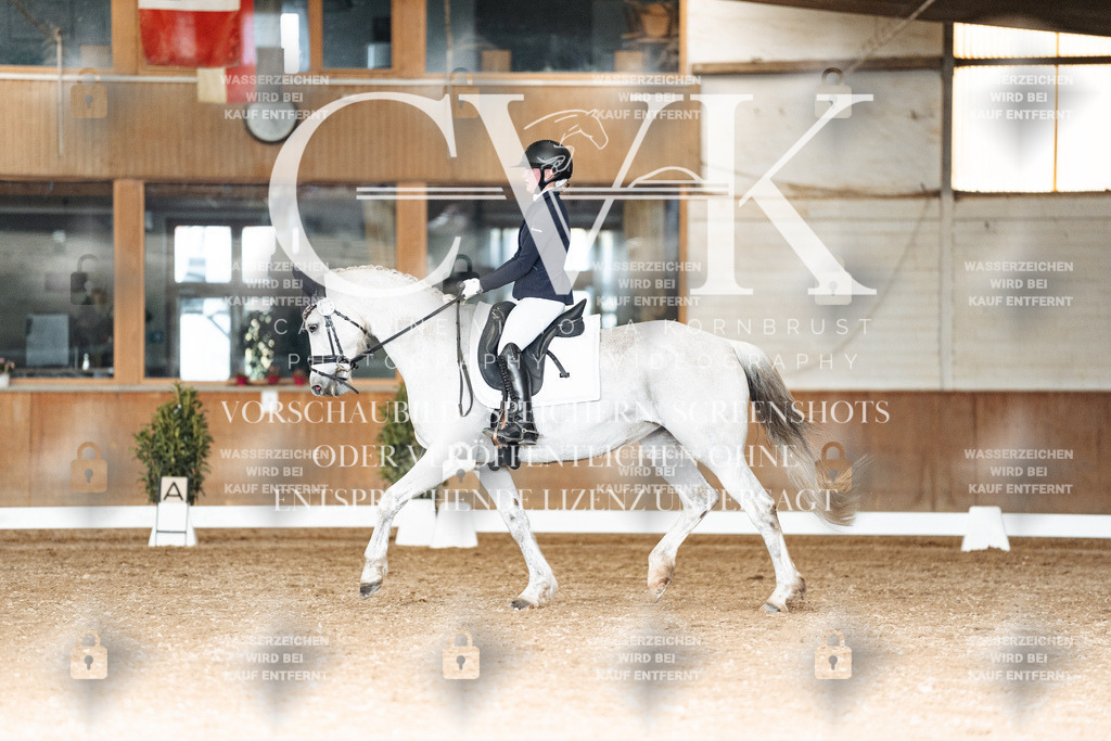 CK902551 | Turnierfotografie Pferdefotografie Trier Rheinland-Pfalz Pferdesport Reitsport Tierfotografie Sportfotografie Pferdevideo Pferdevideografie Equestrianvideography equestrianphotography  - Realisiert mit Pictrs.com